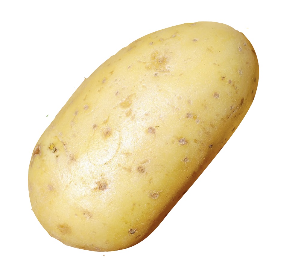 Potatoes are delicious